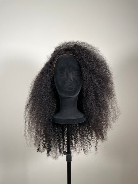 Kinky Curly Frontal Wig - 22"