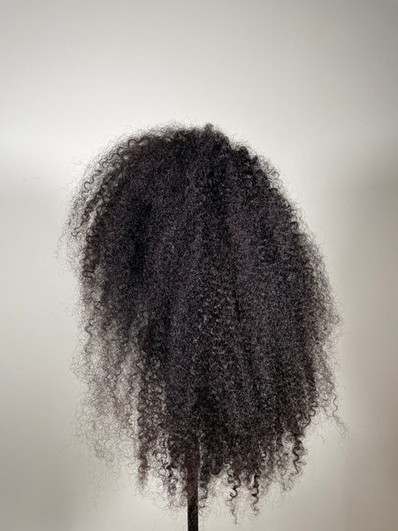 Kinky Curly Frontal Wig - 22"