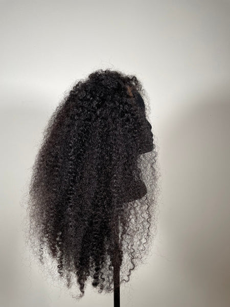 Kinky Curly Frontal Wig - 22"